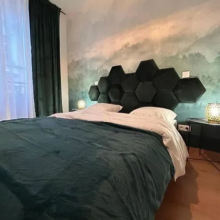 Esprit Alsace: 70m2 De Charme Mulhouse