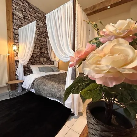 Esprit Alsace: 70m2 De Charme Apartment Mulhouse