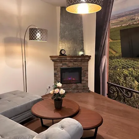 Esprit Alsace: 70m2 De Charme Mulhouse