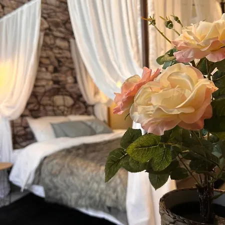 Lägenhet Esprit Alsace: 70m2 De Charme *