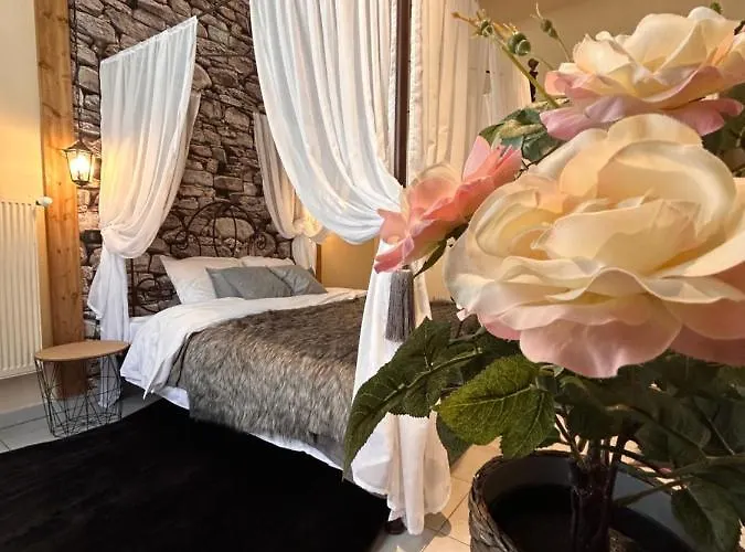 Esprit Alsace: 70m2 De Charme Apartment Mulhouse