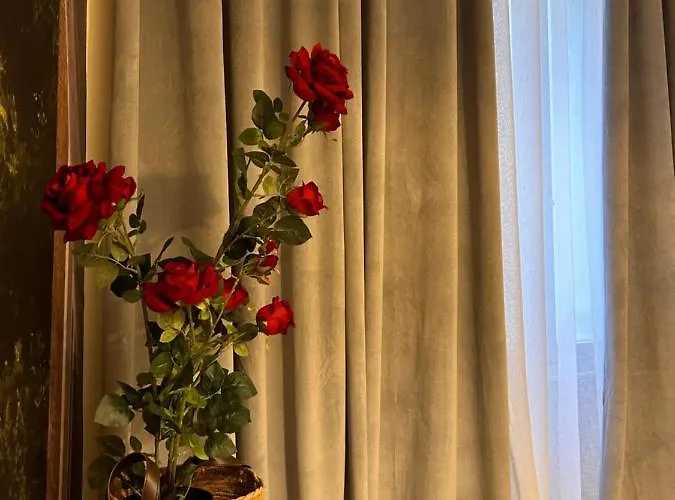 Esprit Alsace: 70m2 De Charme Apartment Mulhouse